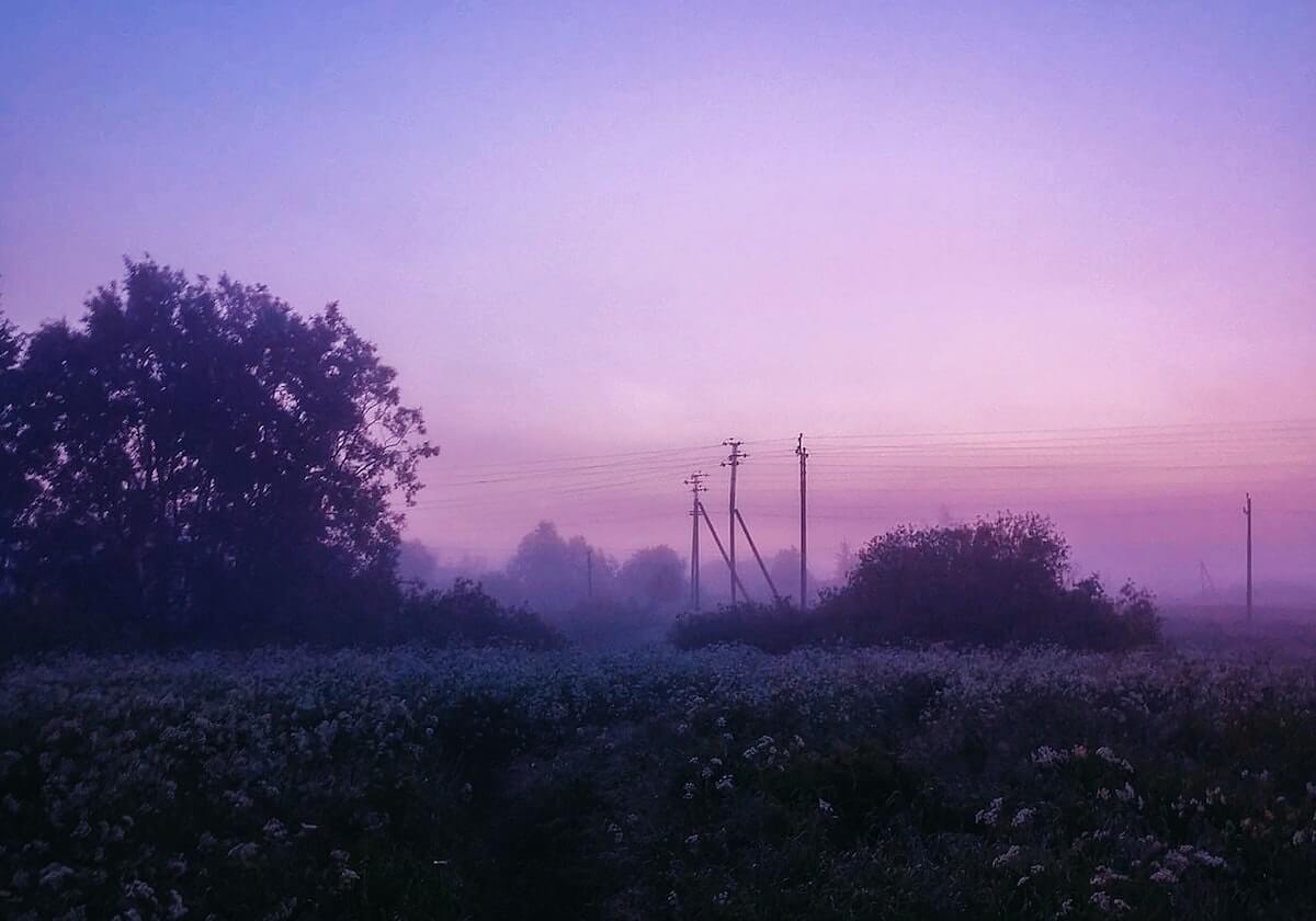 华体会官网：智享体育新纪元，开启专业体验